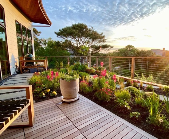 consigue un hogar totalmente fresco, colocando �rboles y plantas